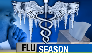 flu_season1