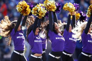 Divisional Playoffs - Houston Texans v Baltimore Ravens