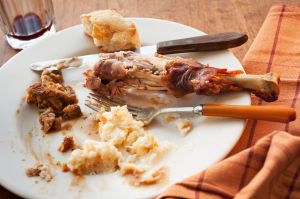 Studio shot of turkey leg with potatoes