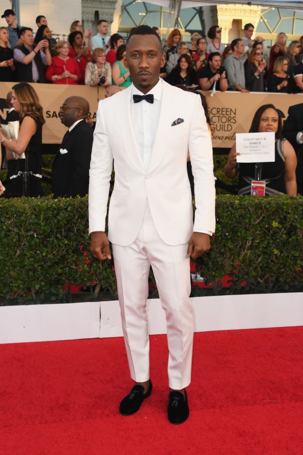 23rd Annual Screen Actors Guild Awards - Arrivals