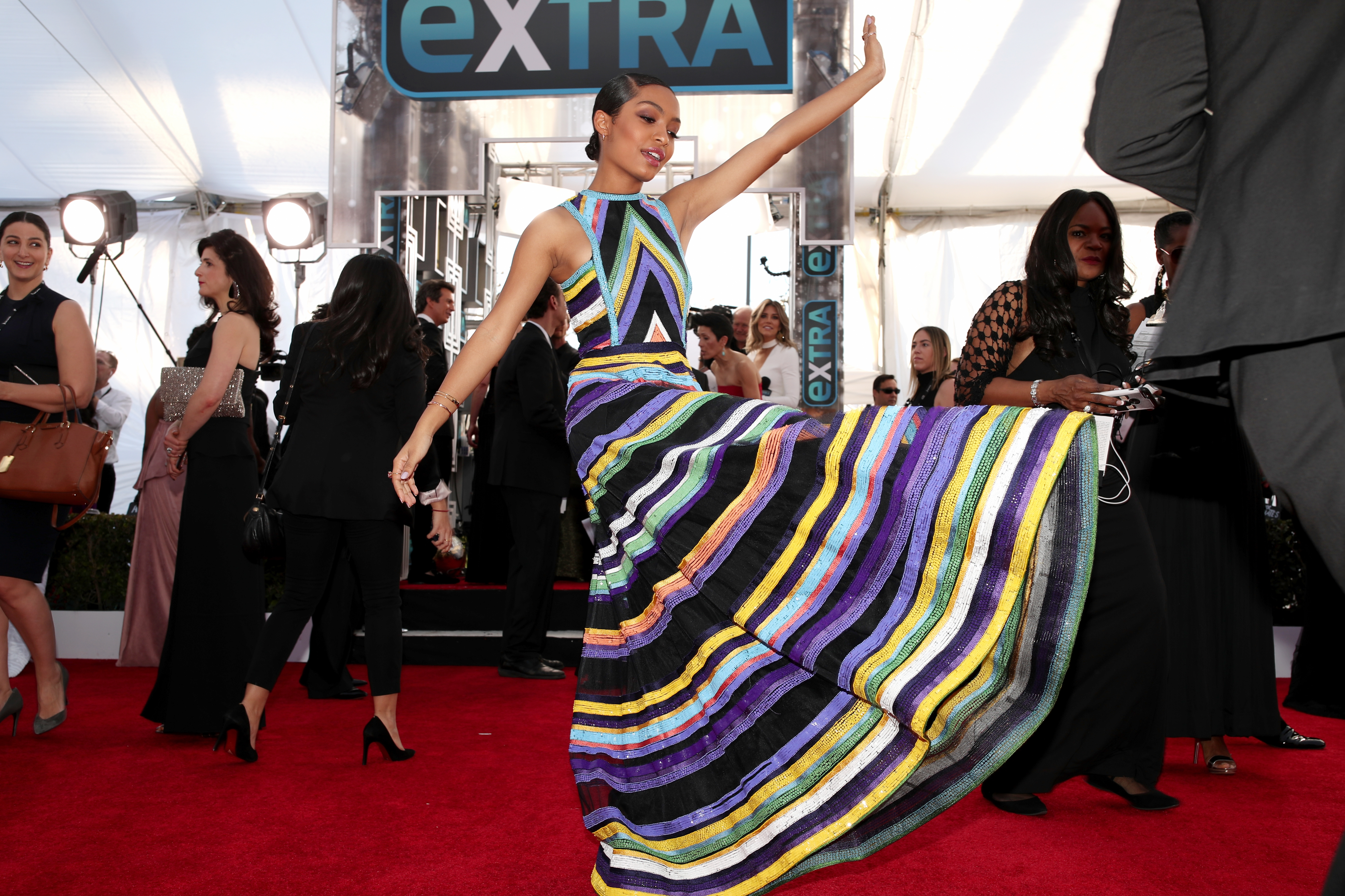 The 23rd Annual Screen Actors Guild Awards - Red Carpet