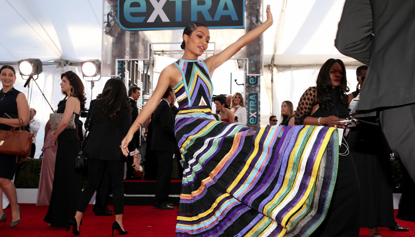 The 23rd Annual Screen Actors Guild Awards - Red Carpet