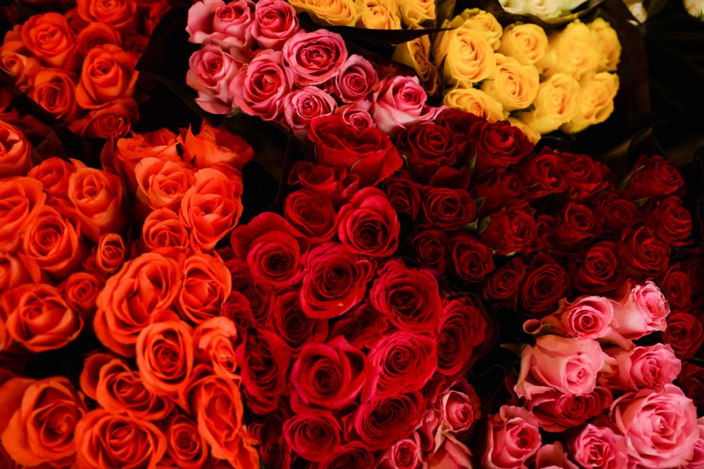 Full Frame Shot Of Rose Bouquets
