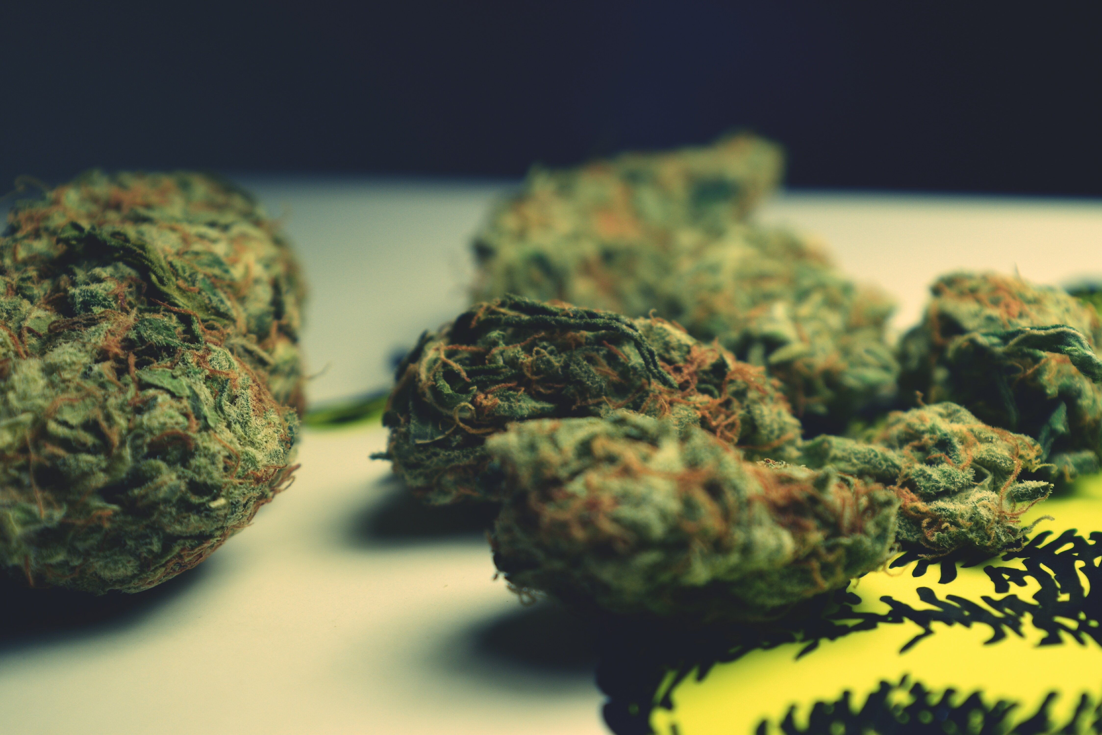 Close Up Of Marijuana On Table