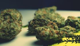Close Up Of Marijuana On Table