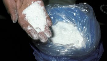Pure cocaine. Narcotics police. La Paz. Bolivia. (SI) H SIM TO 12666