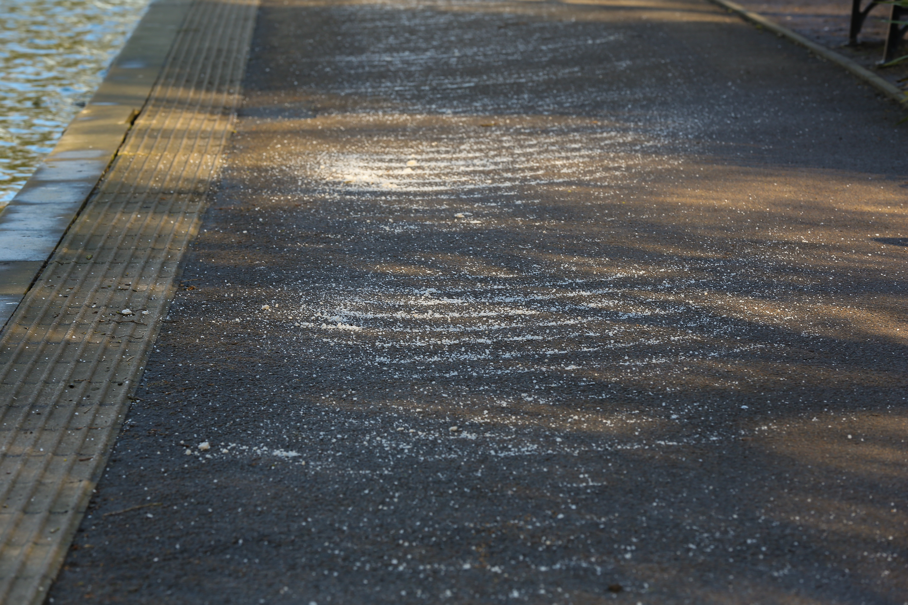 Snow gritter in Alexandra Palace