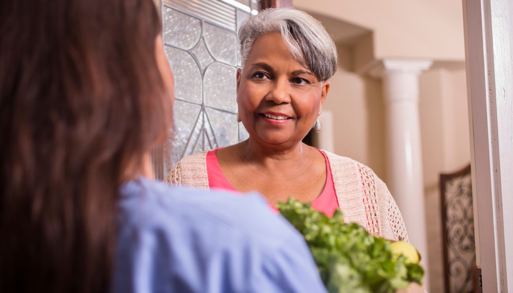 Volunteerism: Woman delivers groceries to senior adult woman at home.
