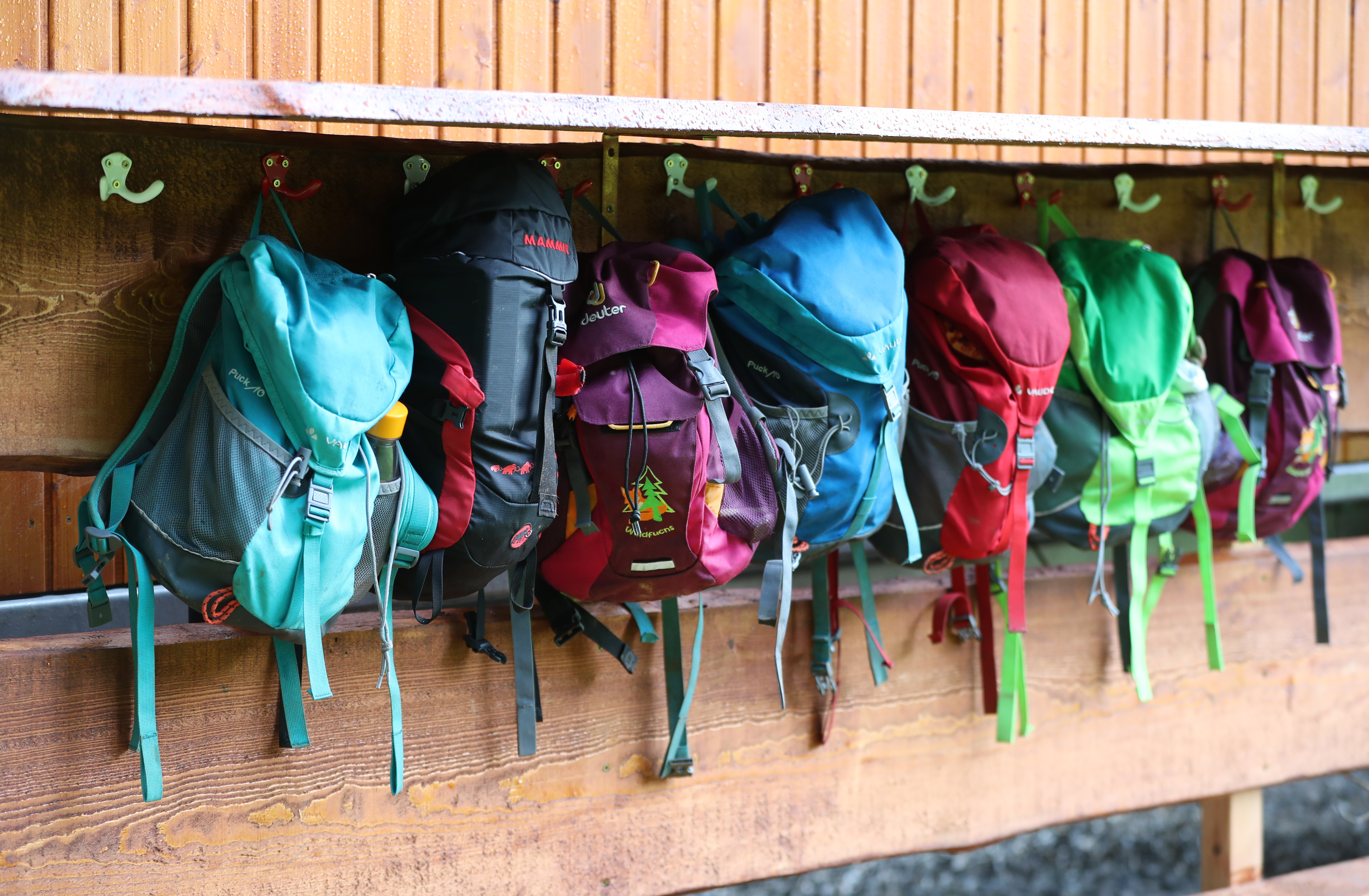 Children In A Forest Kindergarten