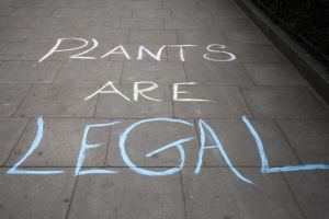 The annual London 420 Pro Cannabis Rally, Hyde Park, London, UK.