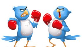 Two Angry Blue Birds Boxing