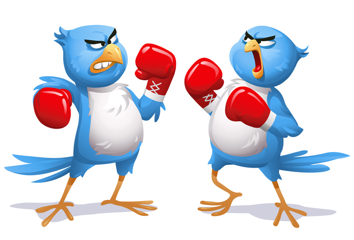 Two Angry Blue Birds Boxing
