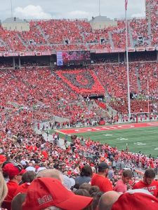 The Ohio State University The Shoe Buckeyes