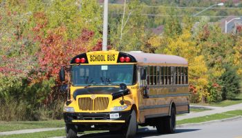 Yellow school bus on autumn background