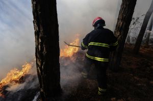 A wildfire breaks out at the Vesuvius National Park