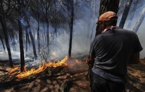 A wildfire breaks out at the Vesuvius National Park