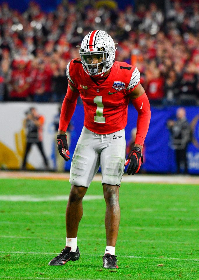 COLLEGE FOOTBALL: DEC 28 CFP Semifinal at the Fiesta Bowl - Clemson v Ohio State