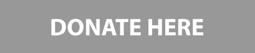 Donate Button