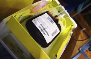 Storage bag being filled with just donated blood