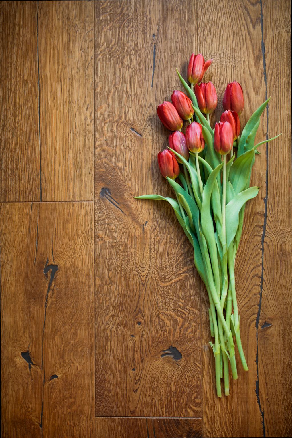 Red Tulips On Wood Background