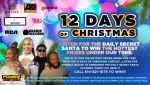 12 Days of Christmas Promotion