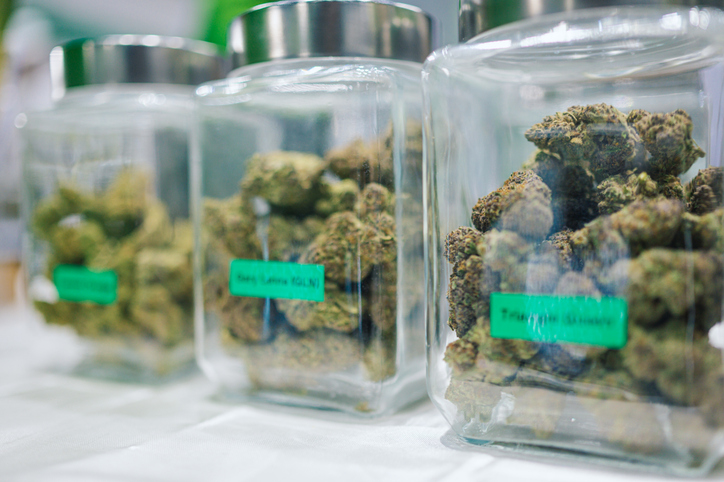 cannabis flower stored in labeled glass jar for strain identification and retail compliance